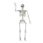 5 Ft. Life-Size Posable Plastic Skeleton Halloween Decoration
