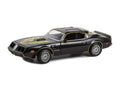 1979 Pontiac Firebird Trans Am Rocky II