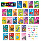 TREND ABC Photo Fun Learning Set