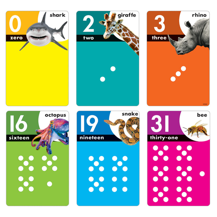 Animals Count 0-31 Learning Set with Numbered Counting Cards product image